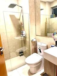 D' Chateau @ Shelford (D11), Apartment #595576011